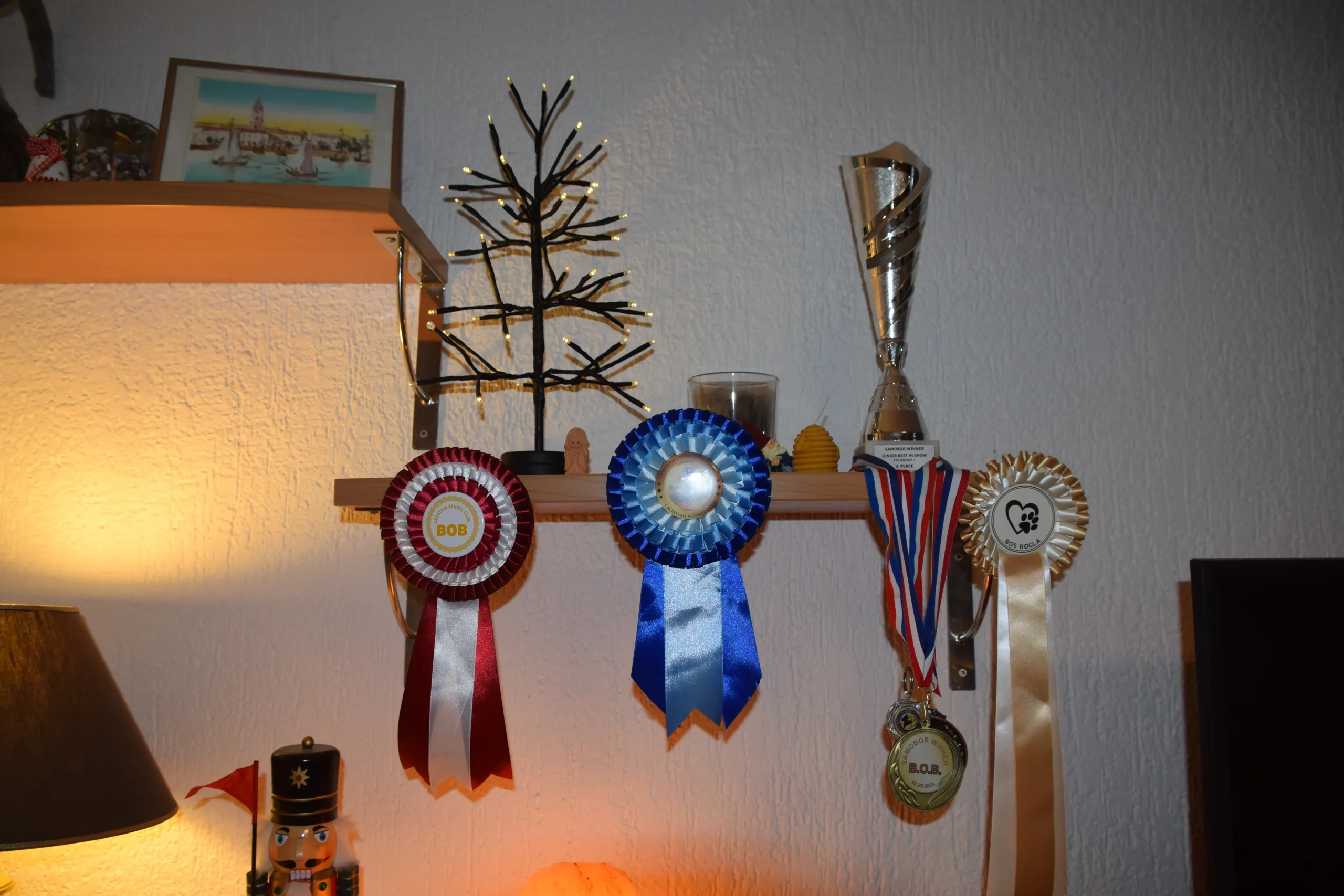 obitelj novaković,njemački ovkčar, nedelišće (3) obitelj novaković,njemački ovkčar, nedelišće (3)