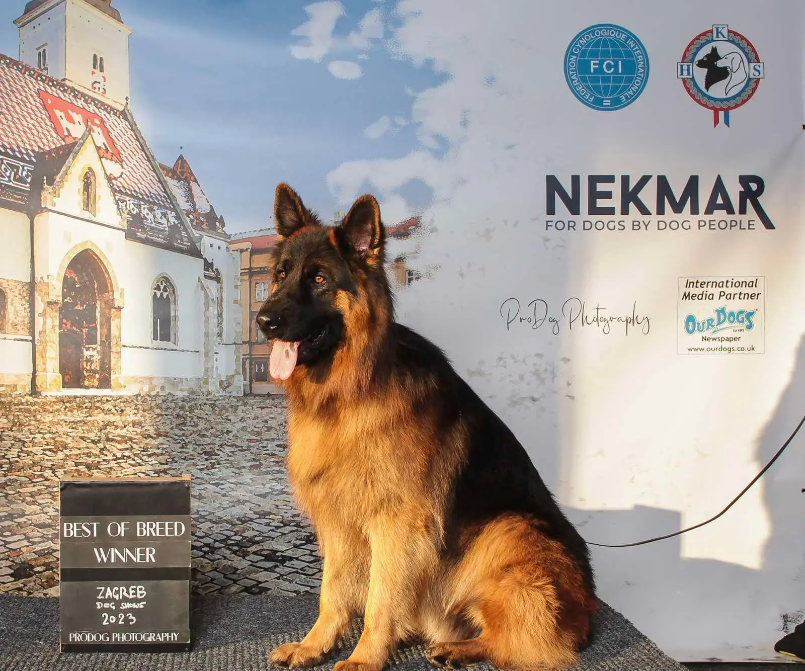 obitelj novaković,njemački ovkčar, nedelišće (5) obitelj novaković,njemački ovkčar, nedelišće (5)