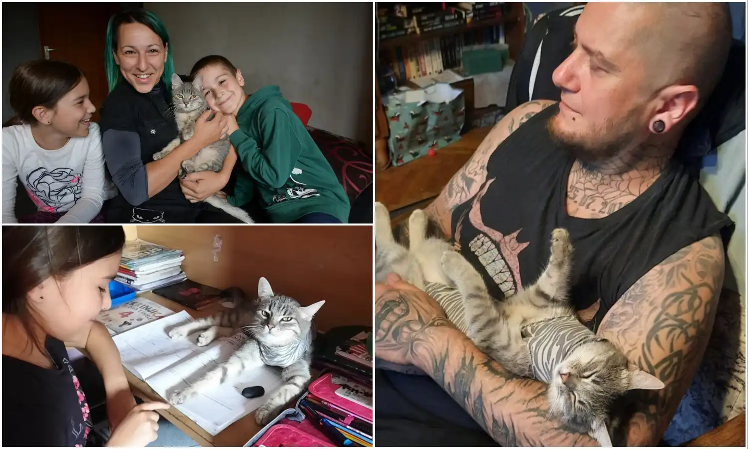 obitelji Nađ i mačak Luna (1)