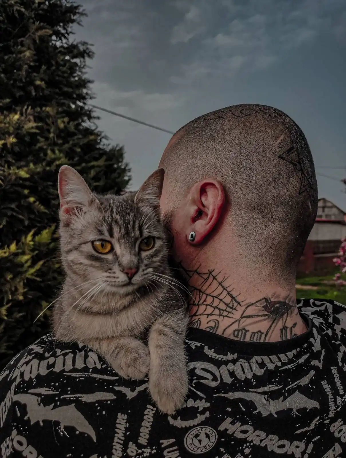 obitelji Nađ i mačak Luna (2)