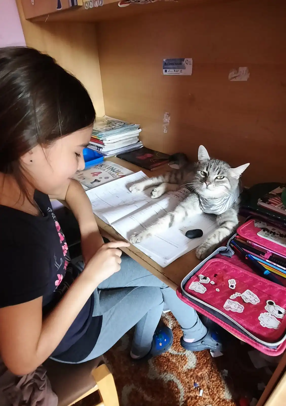 obitelji Nađ i mačak Luna (4)