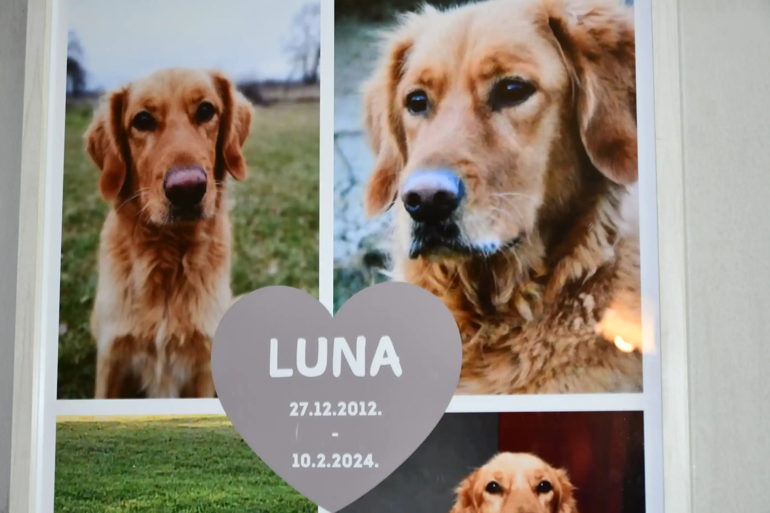obitelji Nađ i mačak Luna (7)