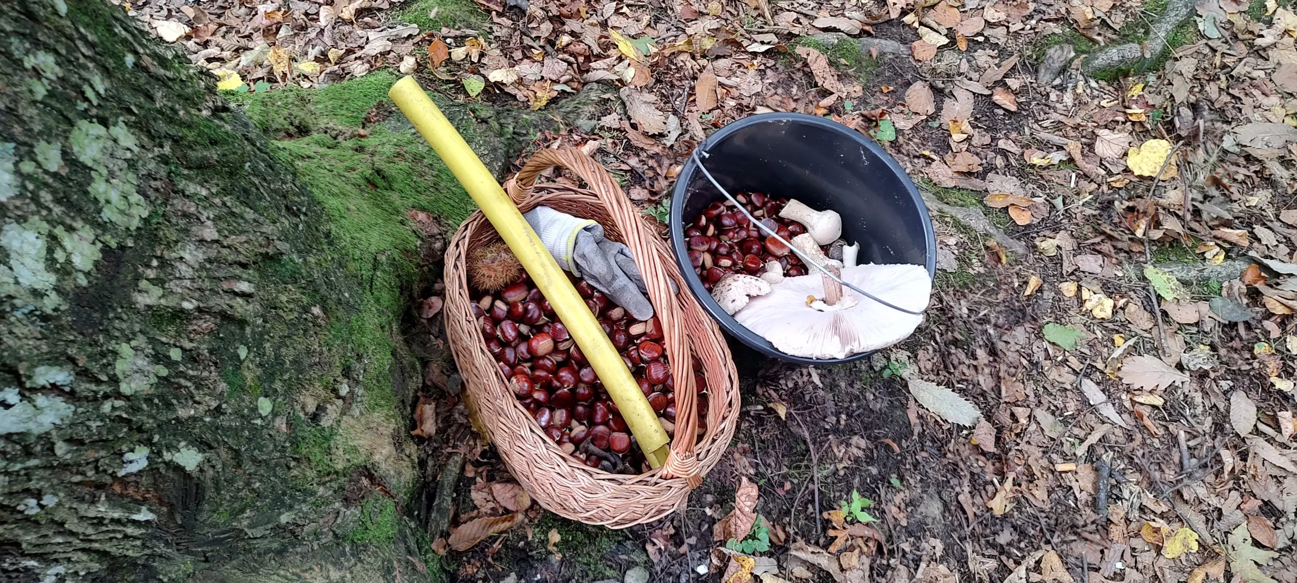 obiteljski izlet podravina (2)
