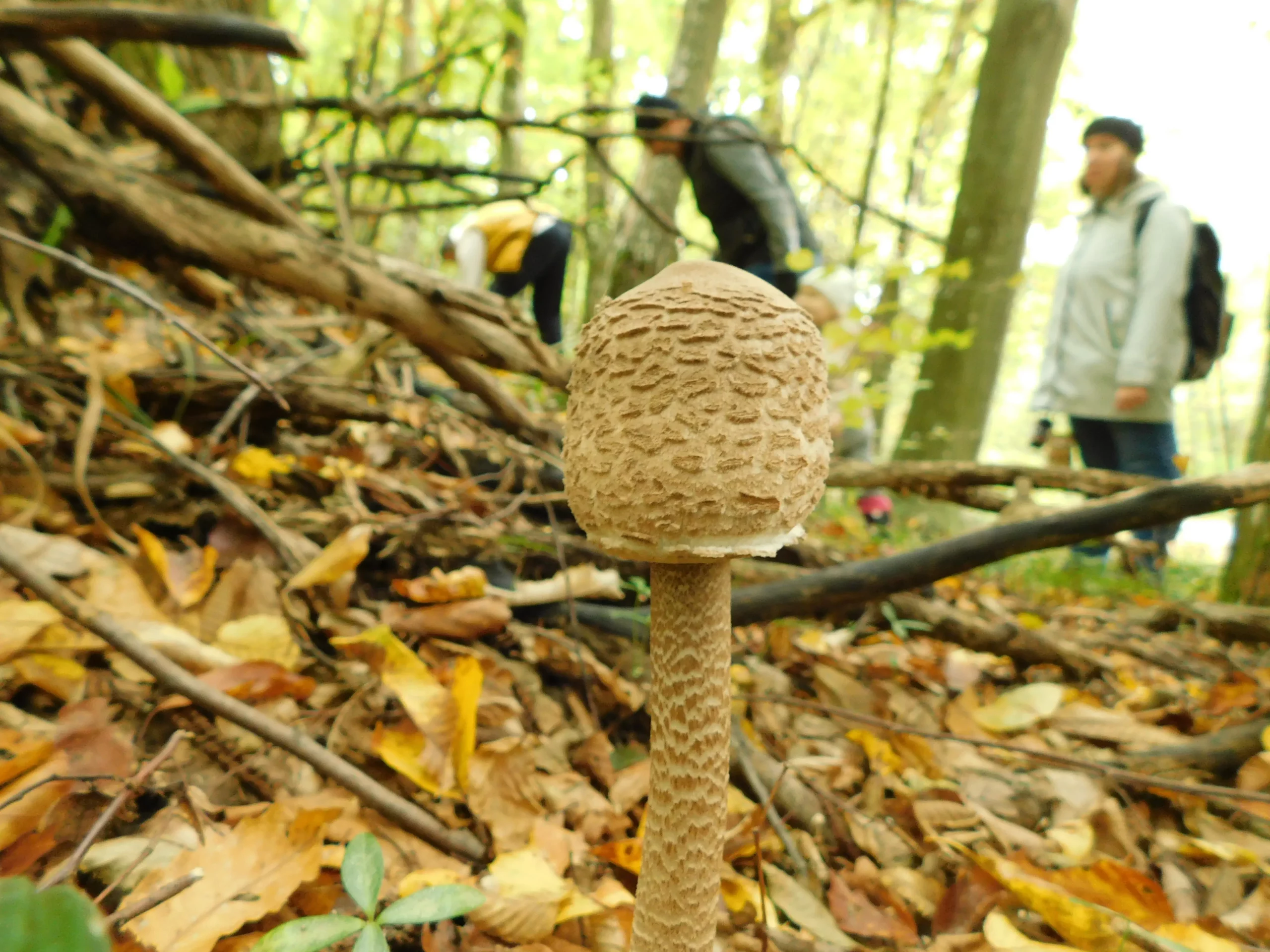obiteljski izlet podravina (5)