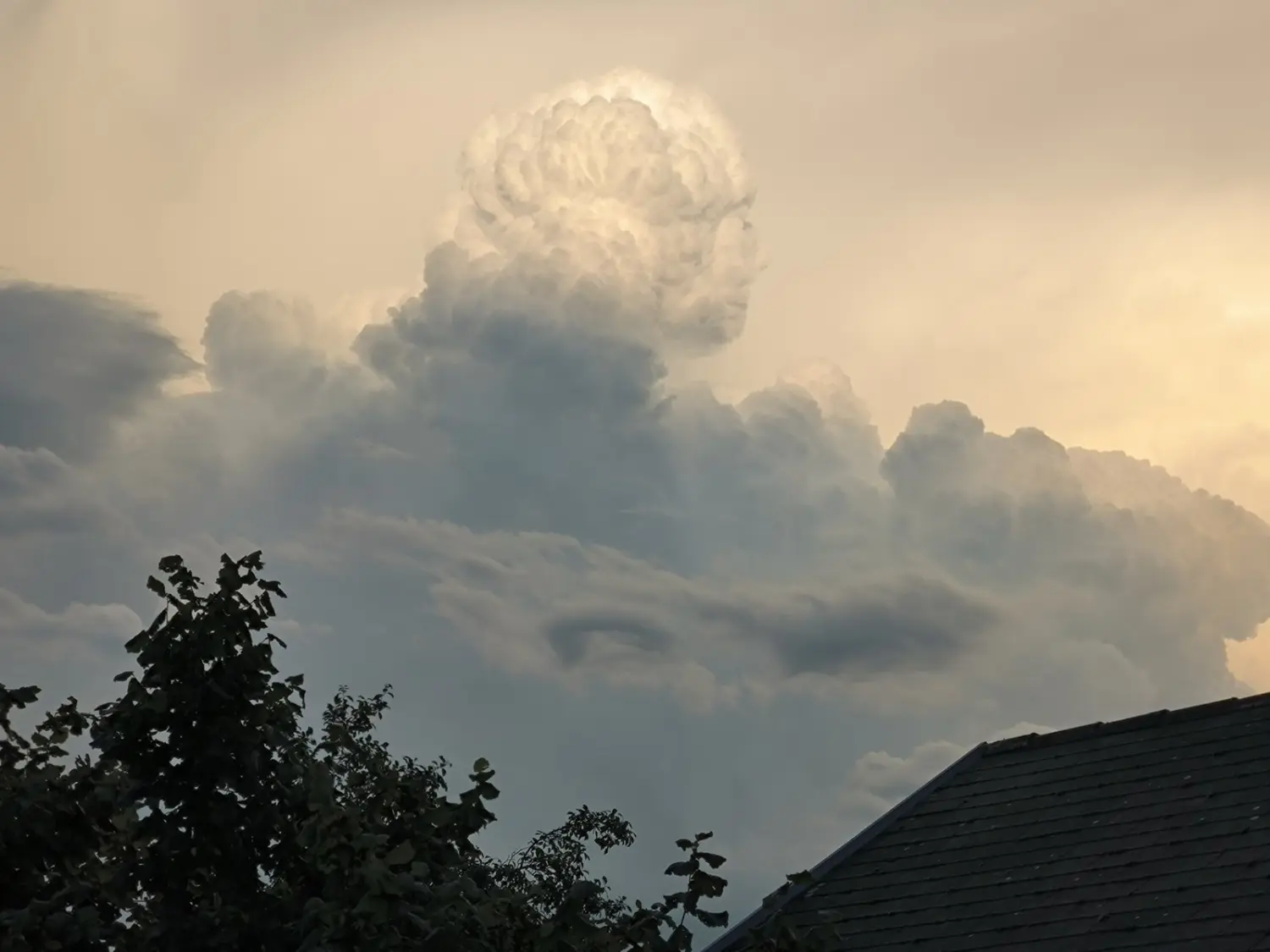 oblaci Savska Ves (1) oblaci Savska Ves (1)