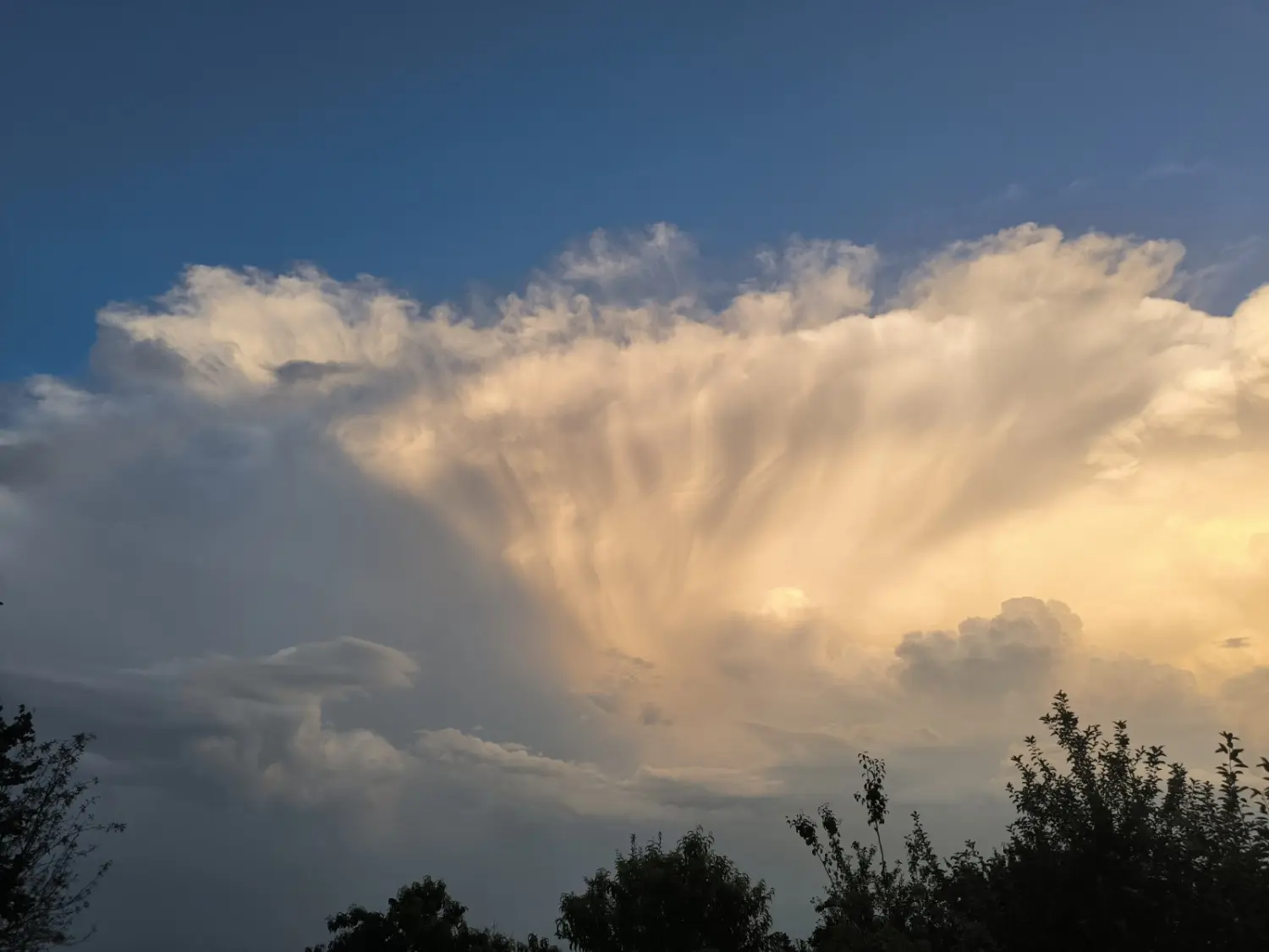 oblaci Savska Ves (2) oblaci Savska Ves (2)