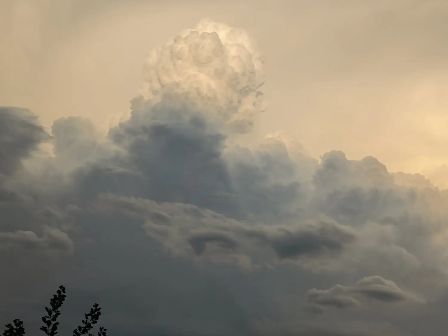 oblaci Savska Ves (5) oblaci Savska Ves (5)