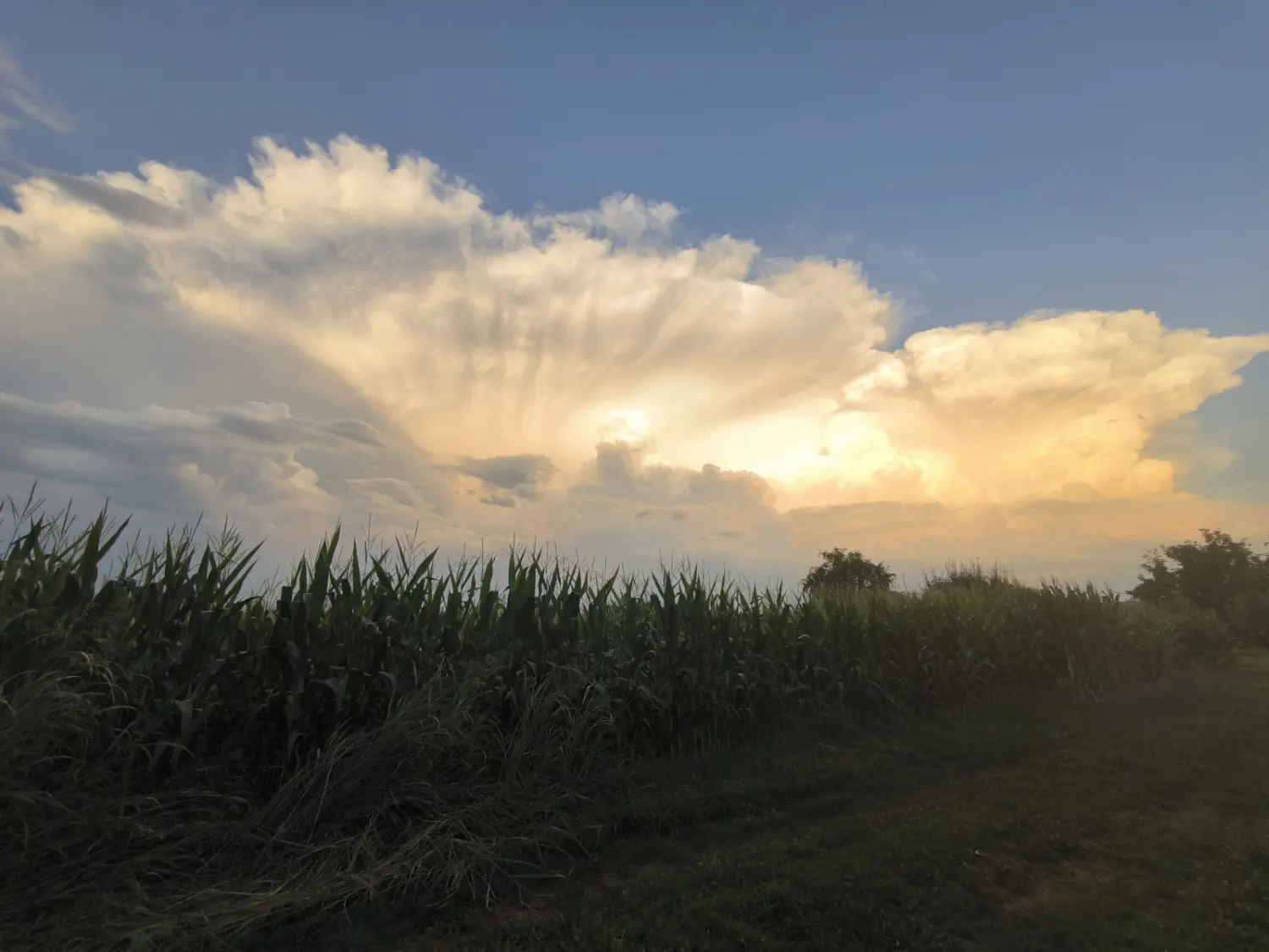 oblaci Savska Ves (8) oblaci Savska Ves (8)