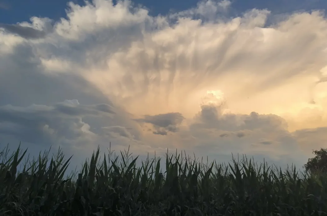 oblaci Savska Ves (9) oblaci Savska Ves (9)