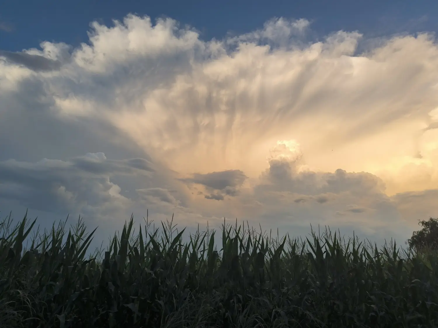 oblaci Savska Ves (9) oblaci Savska Ves (9)