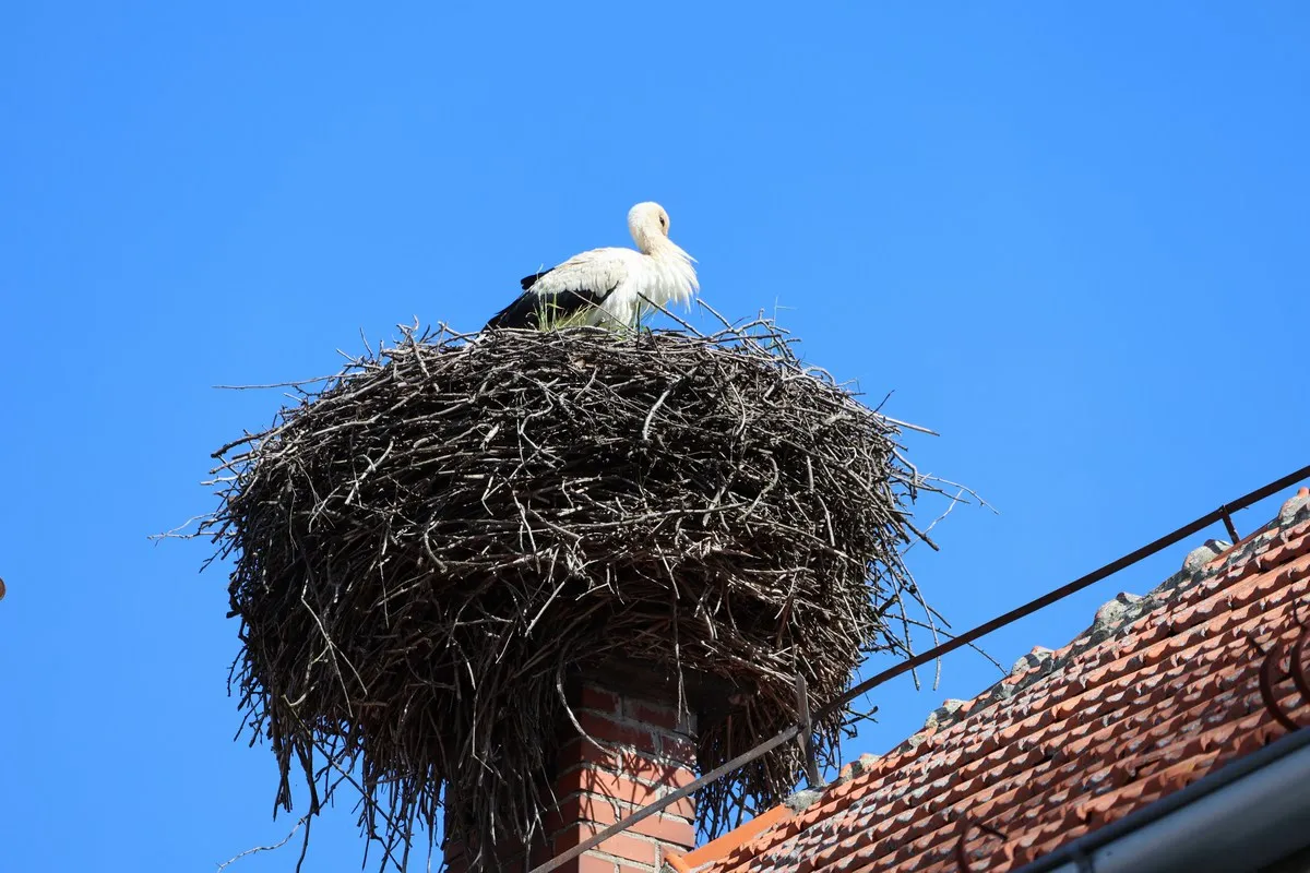 obnova amabulanta u Međimurju (32) obnova amabulanta u Međimurju (32)