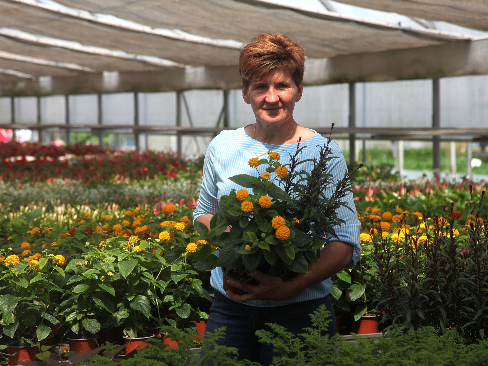 obrt cepanec (1) (1)