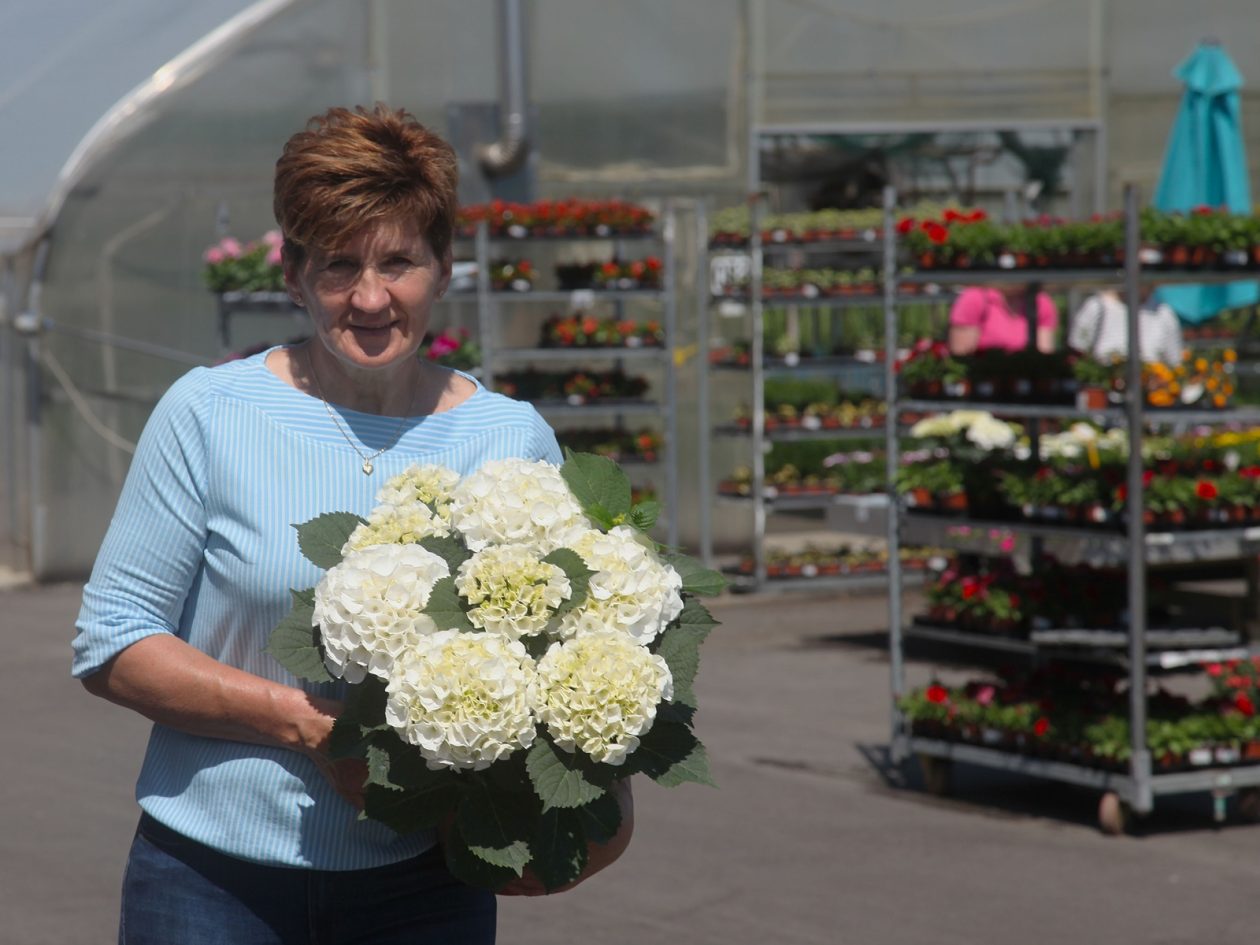 obrt cepanec (2) (1)