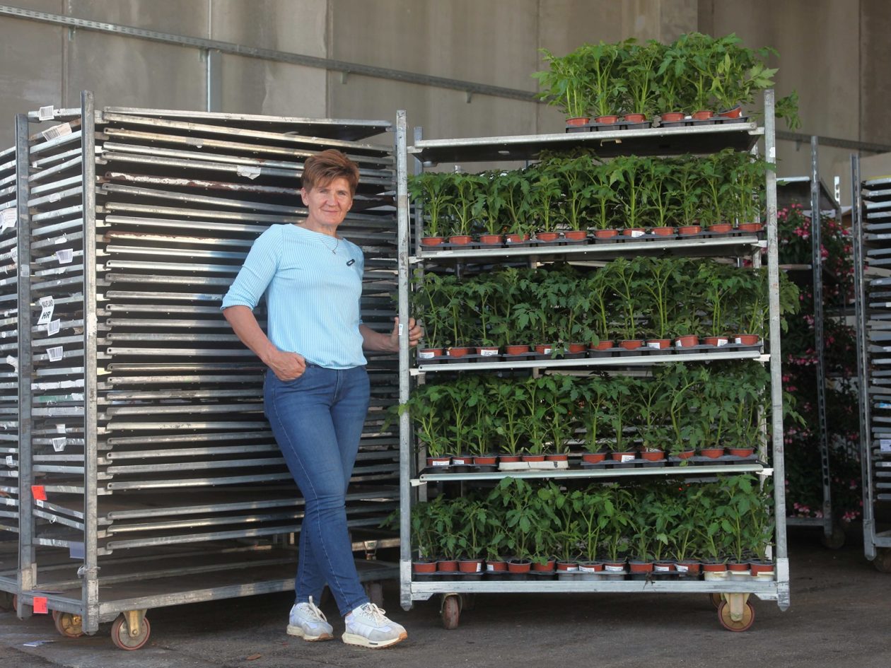 obrt cepanec (3) (1)