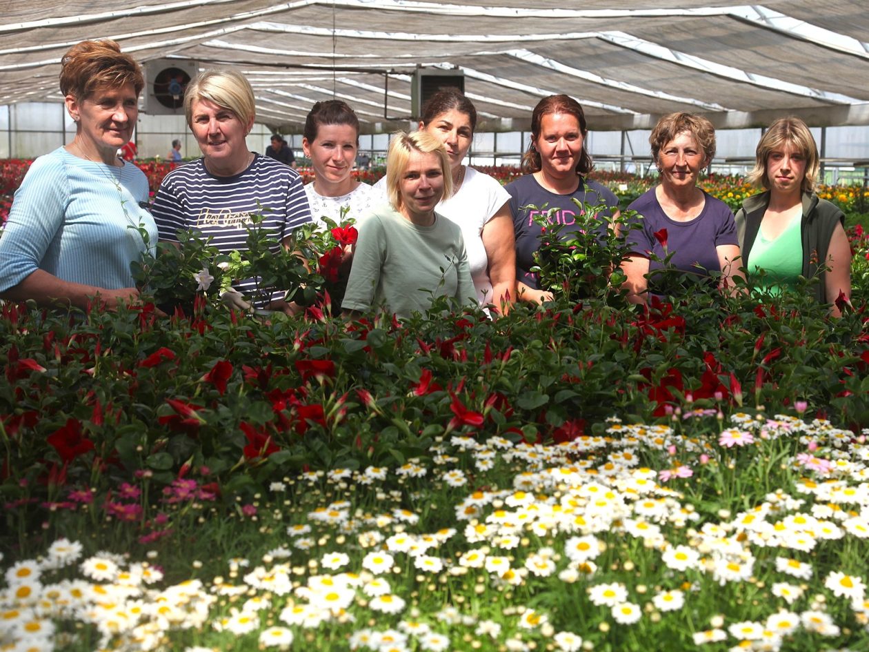 obrt cepanec (5) (1)