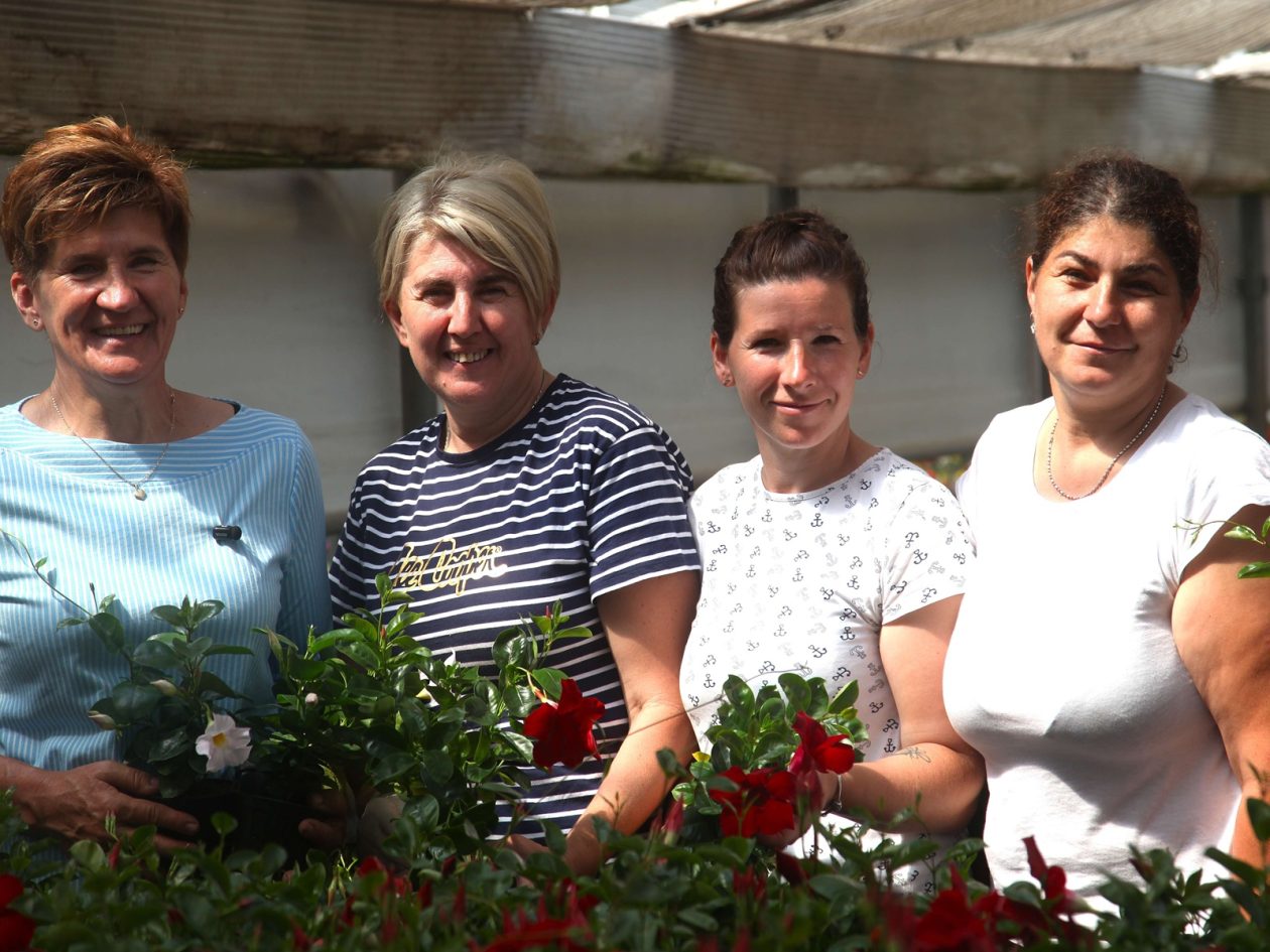 obrt cepanec (7) (1)