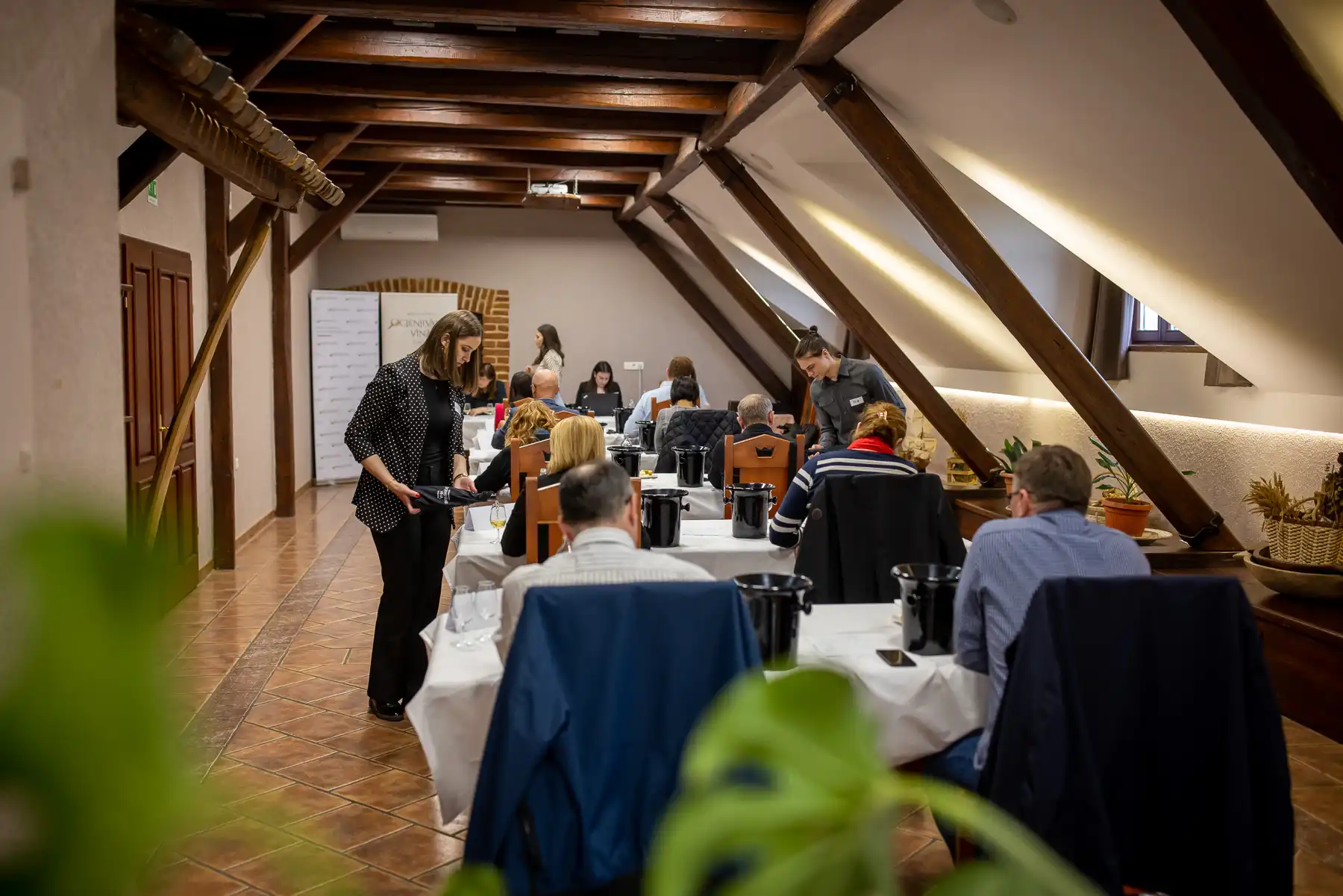 ocjenjivanje vina,Štrigova (2)