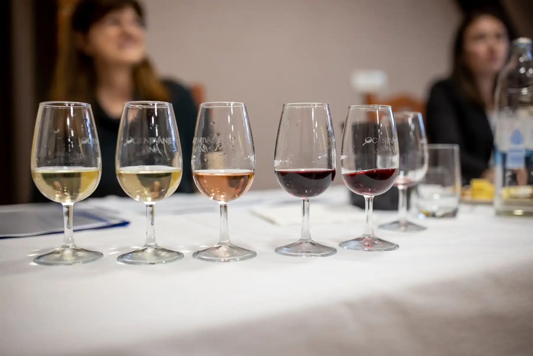 ocjenjivanje vina,Štrigova (5)