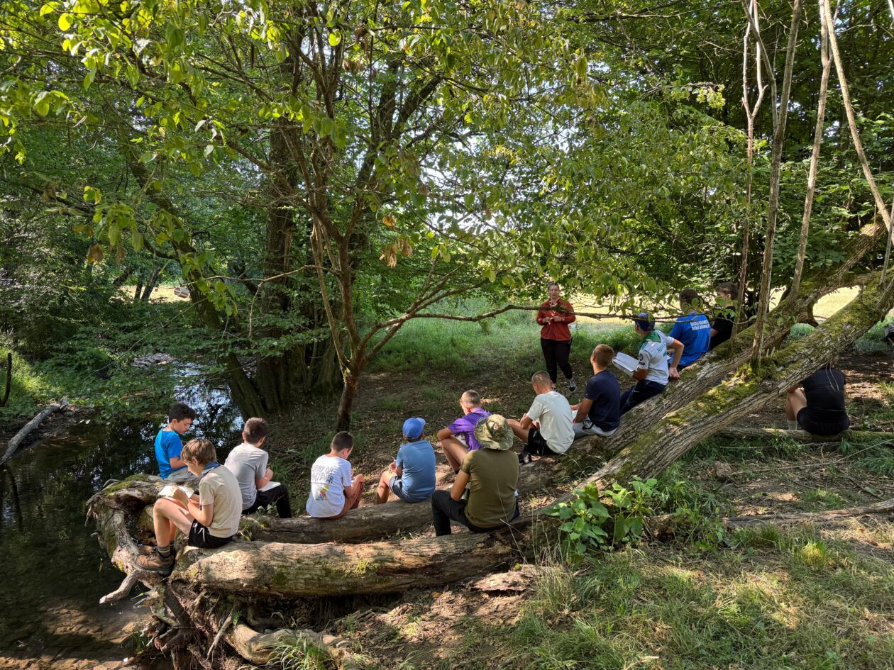 odred izviđača sirius, logorovanje (2)