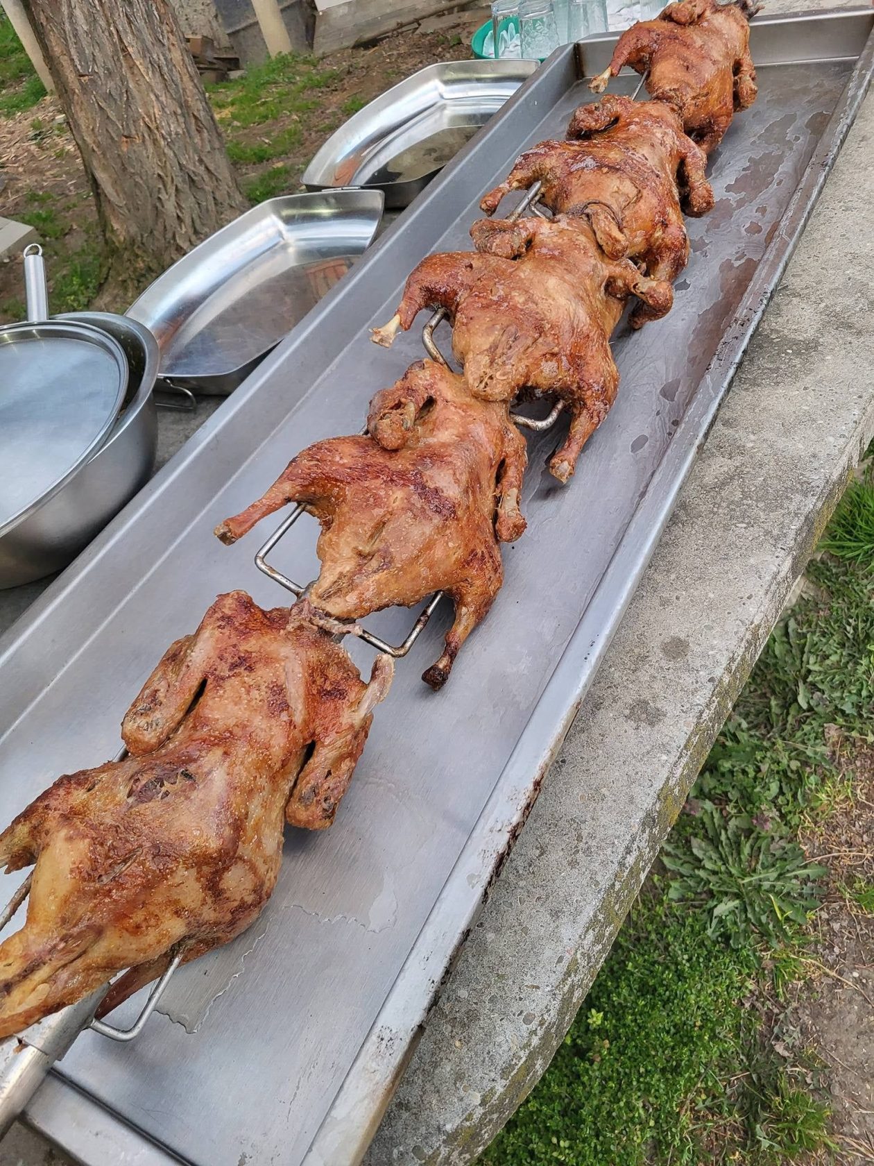 odrivaci pondelka (6) odrivaci pondelka (6)