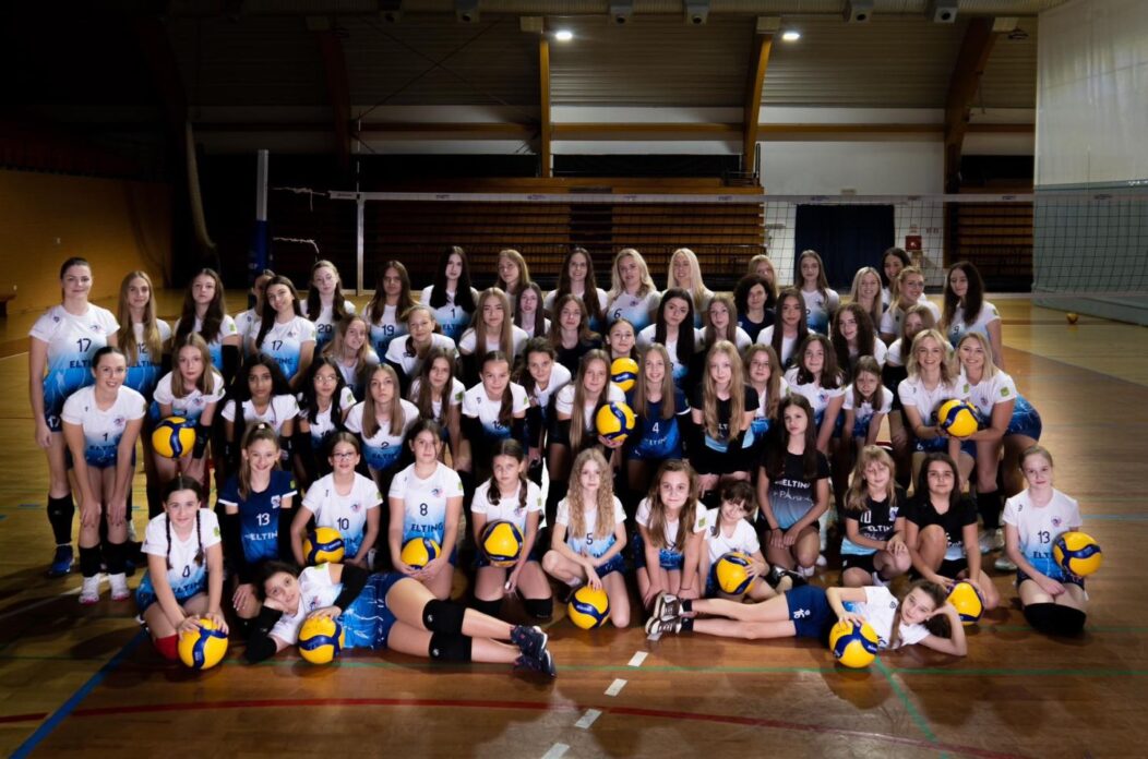 ok nedleišće elting naslovna ok nedleišće elting naslovna