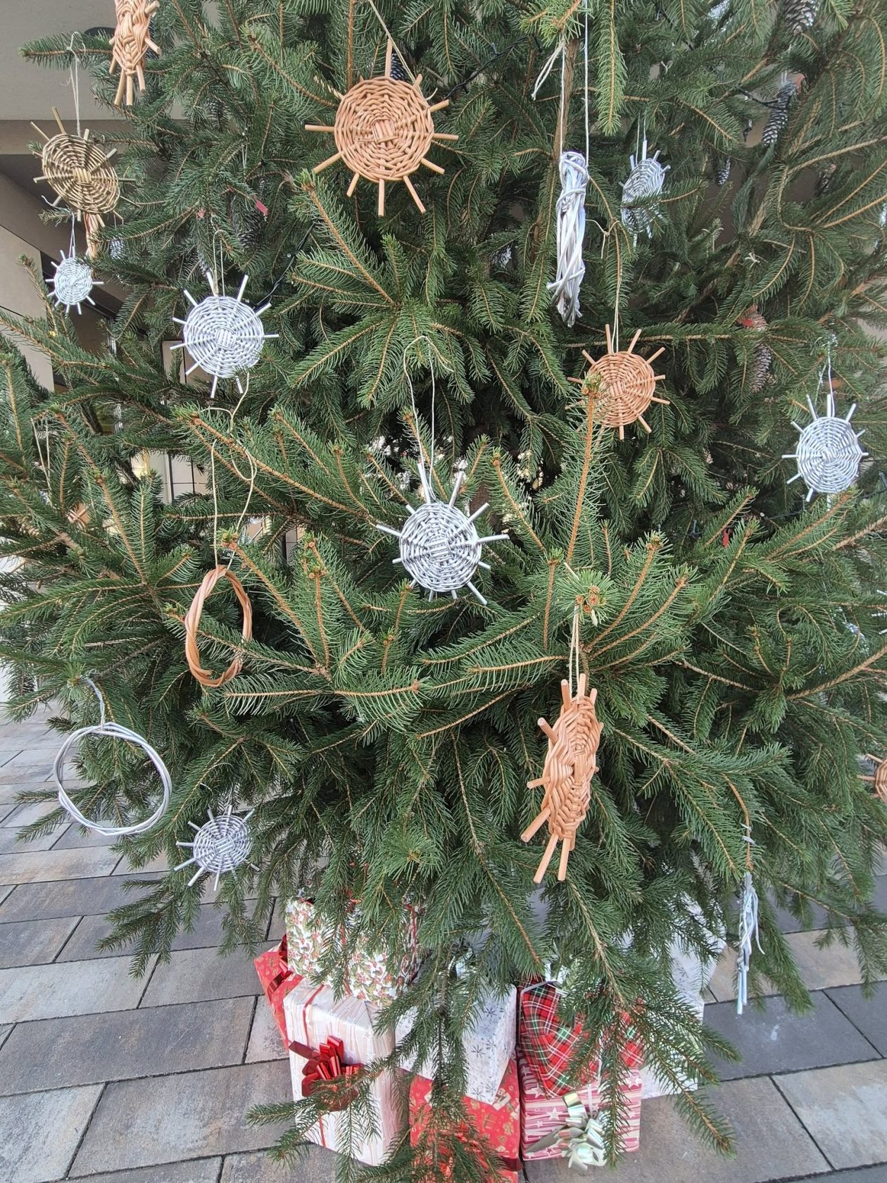 općina Kotoriba prirodni ukrasi za bor (3)