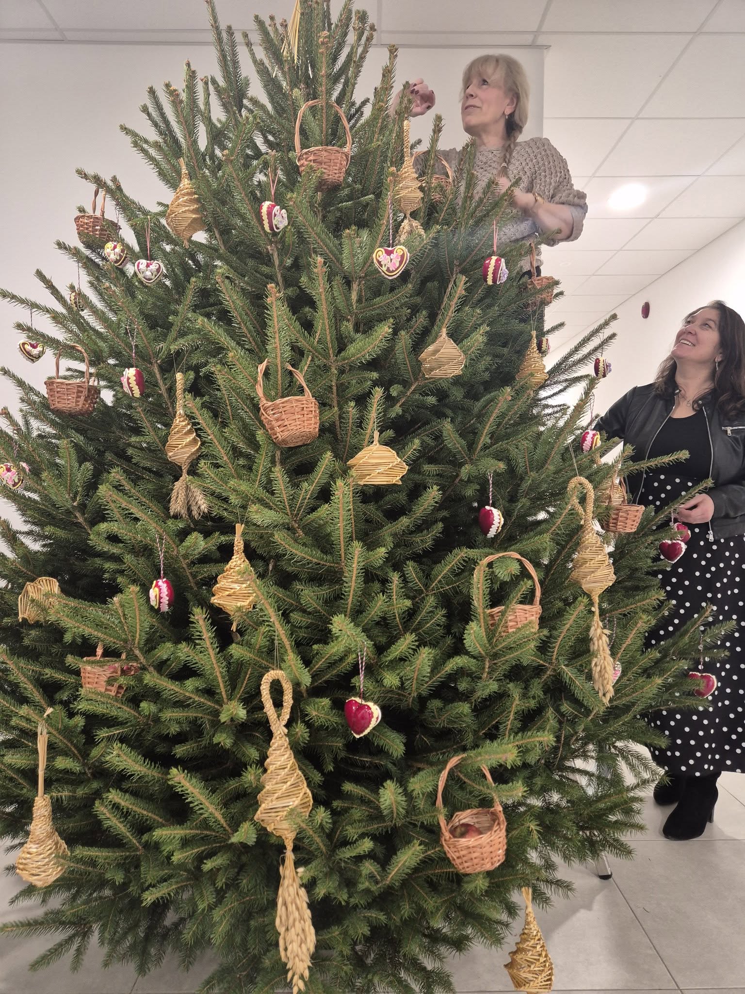 općina Kotoriba prirodni ukrasi za bor (5) općina Kotoriba prirodni ukrasi za bor (5)