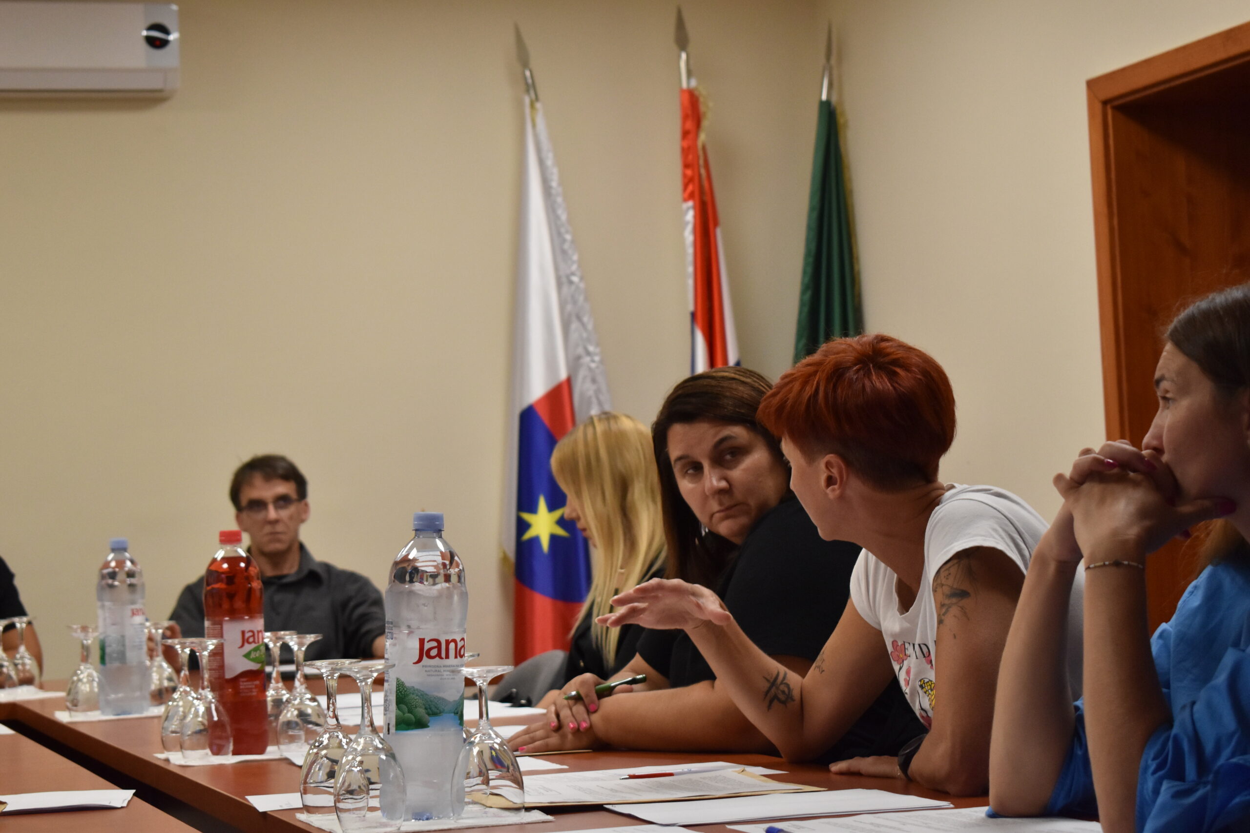 općinsko vijeće domašinec (5)