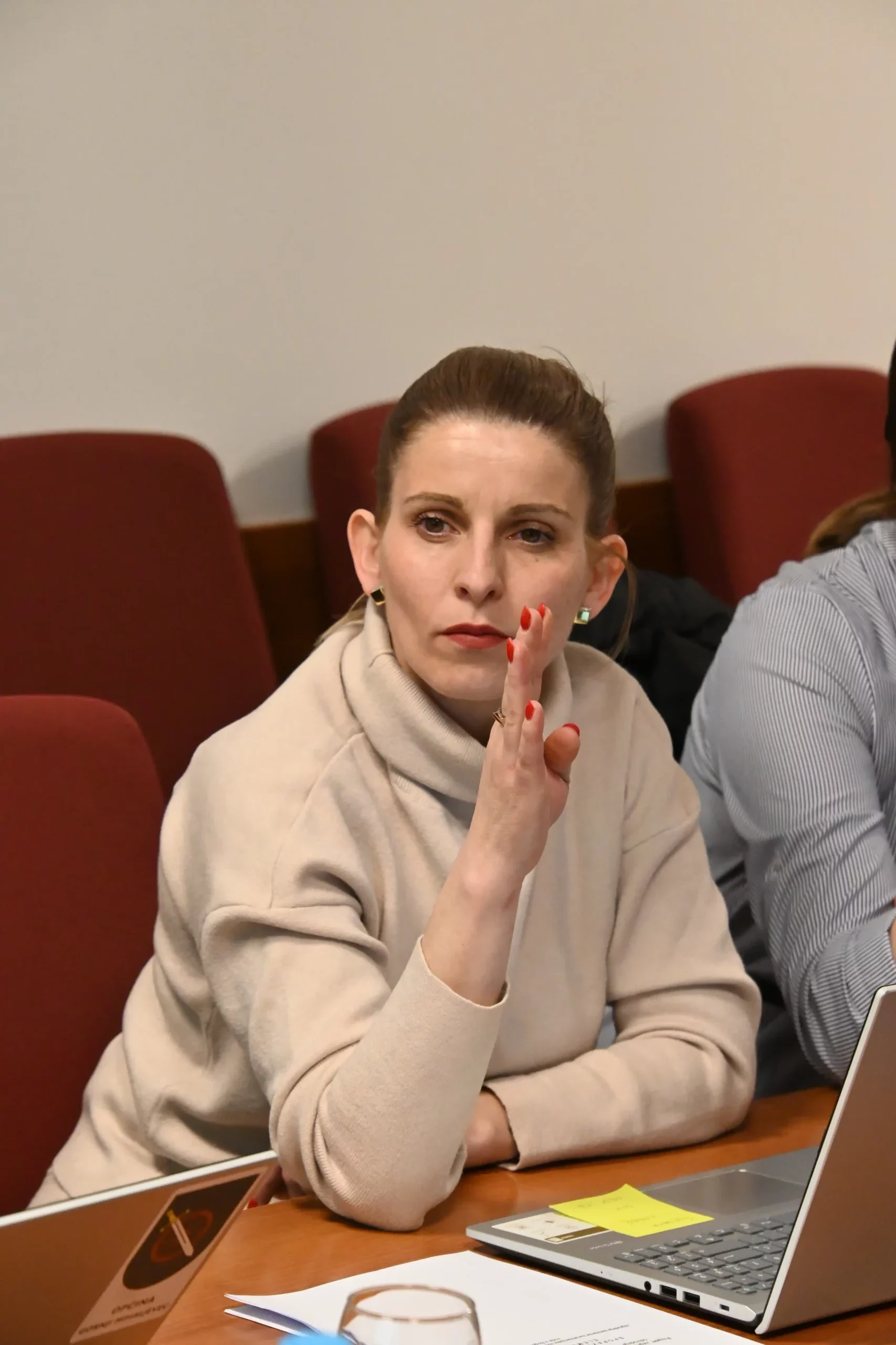 općinsko vijeće gornji mihaljevec (3) općinsko vijeće gornji mihaljevec (3)