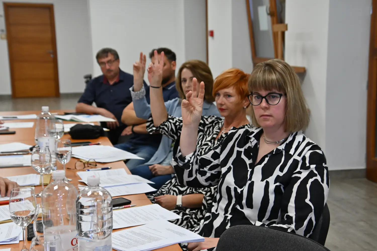 općinsko vijeće štrigova (6)