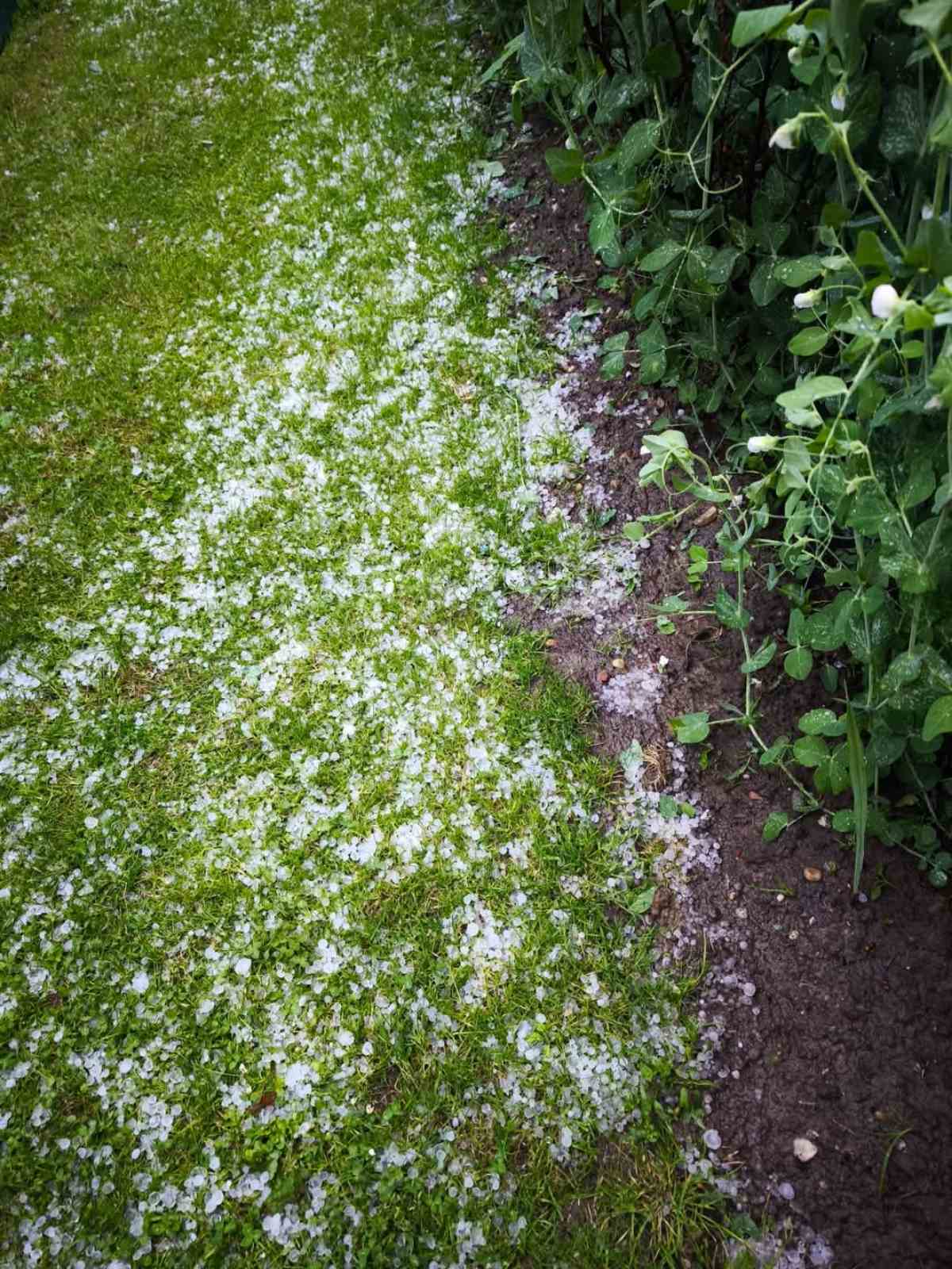 opg car, knezovec, tuča (1)