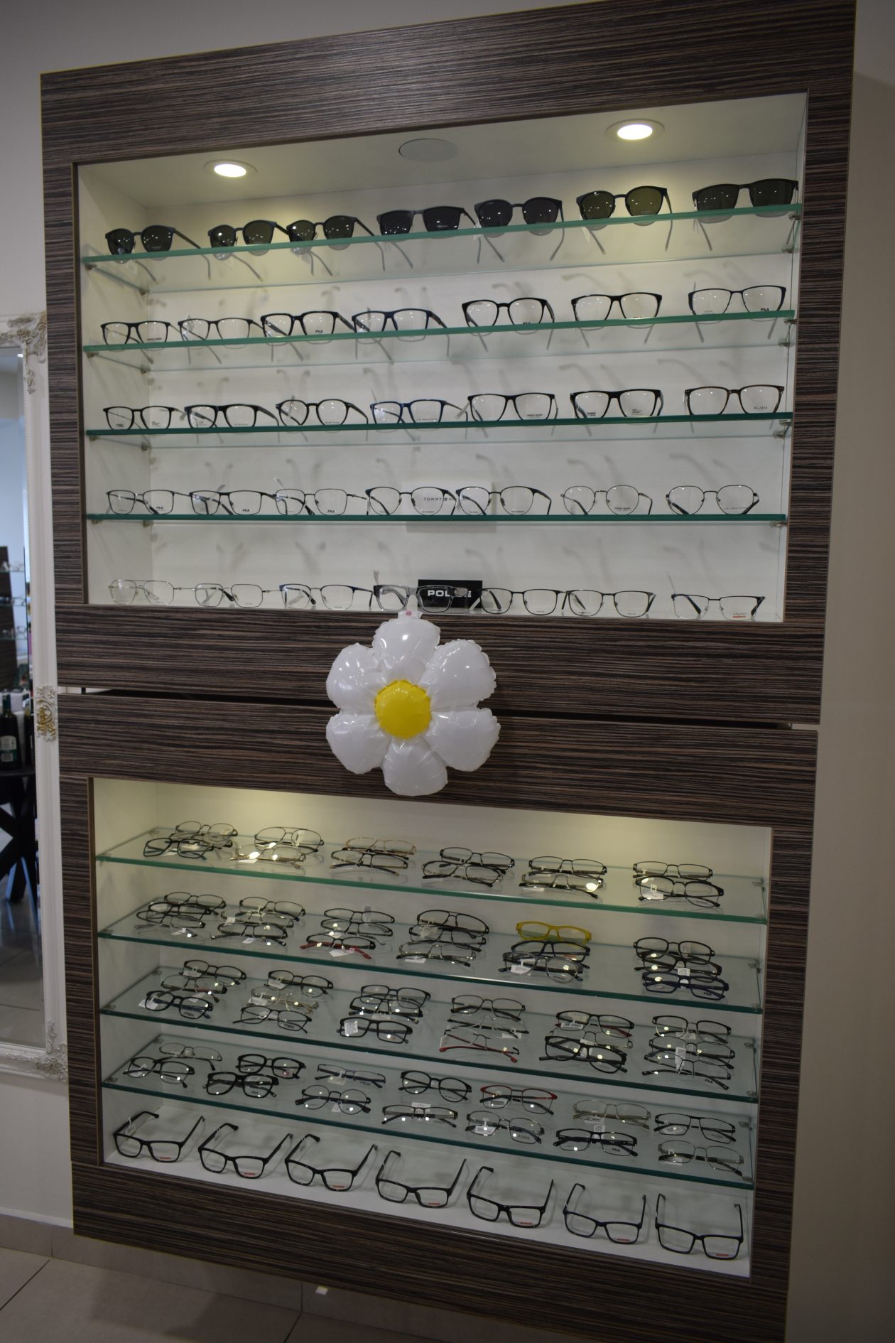 optika specto prelog (33)