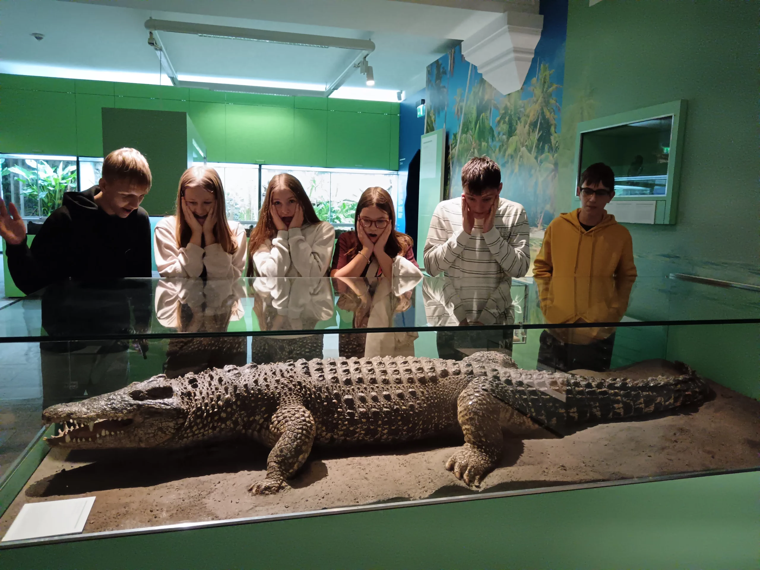 oš Belica, erasmus plus,njemačka (13)