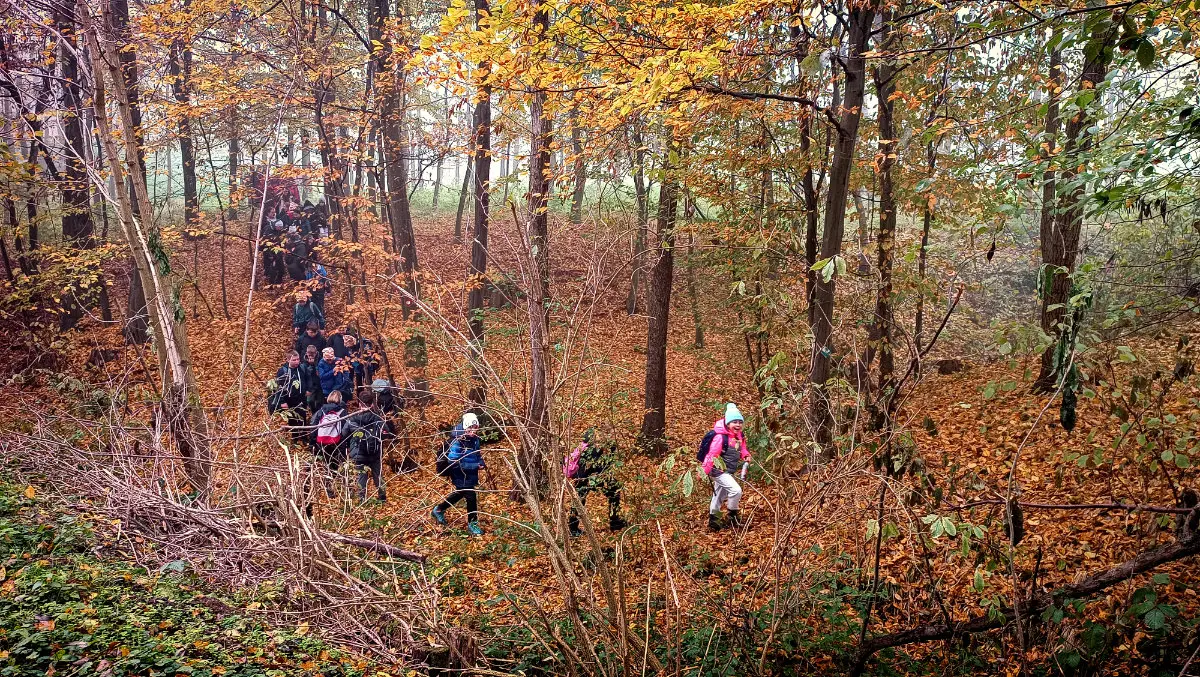 oš belica mohokos (2) oš belica mohokos (2)