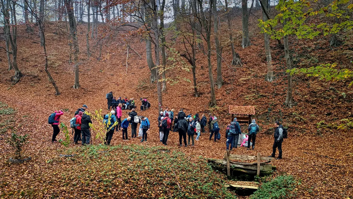 oš belica mohokos (3) oš belica mohokos (3)