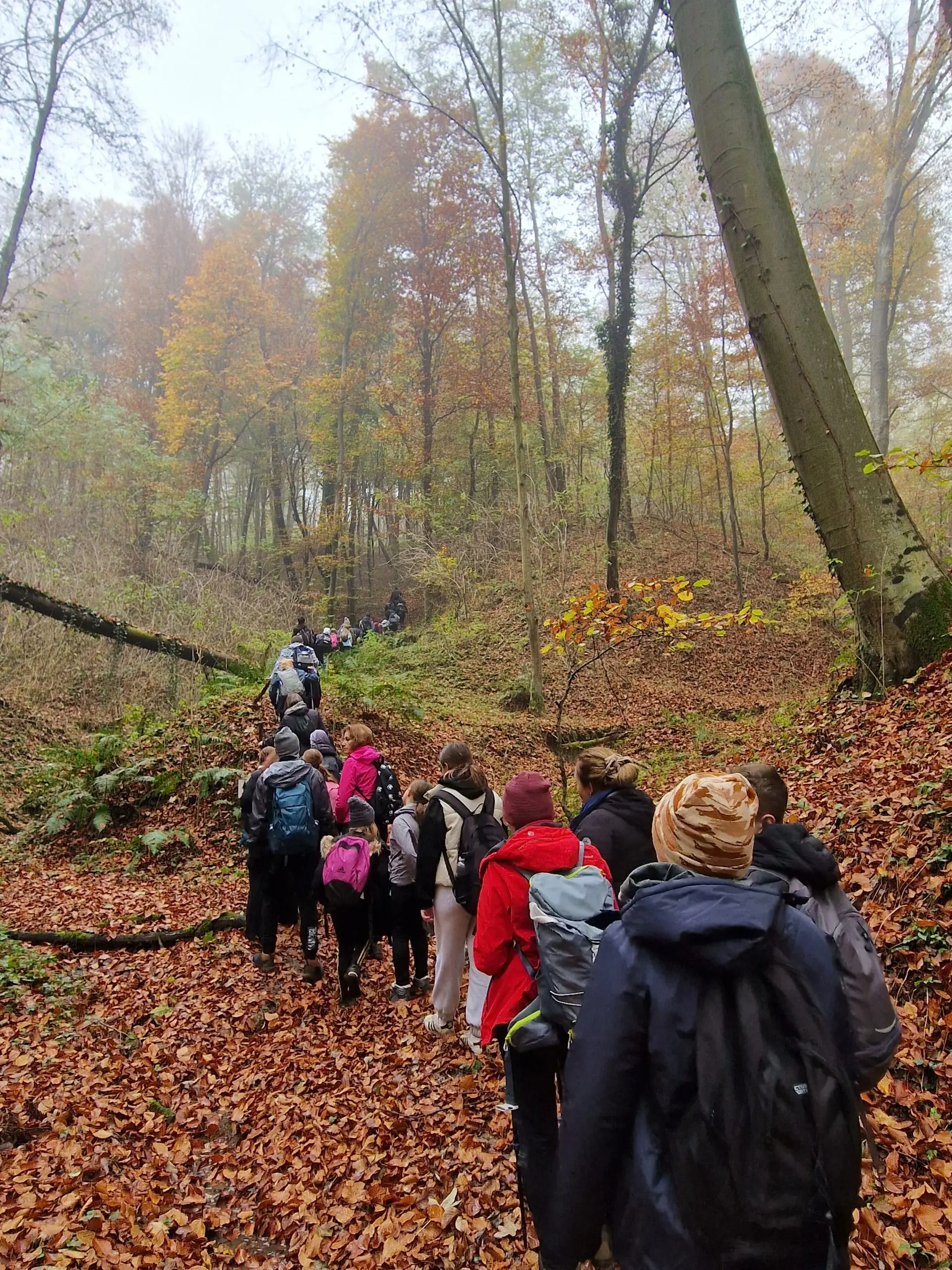 oš belica mohokos (5) oš belica mohokos (5)