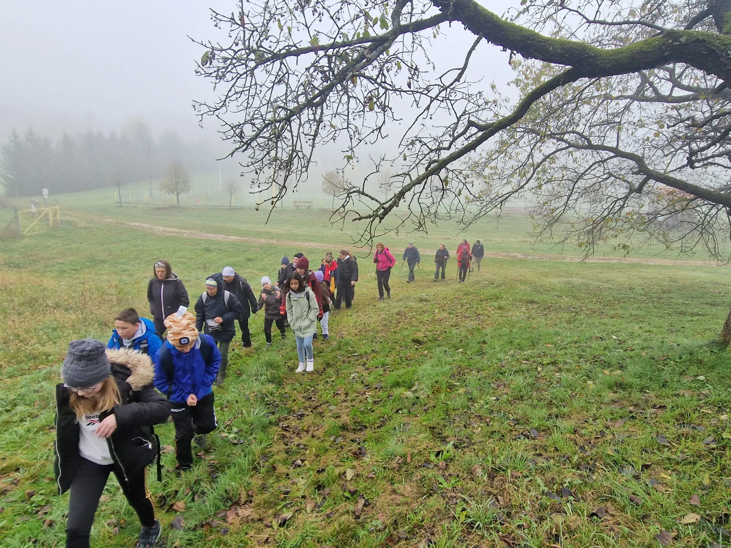 oš belica mohokos (7) oš belica mohokos (7)