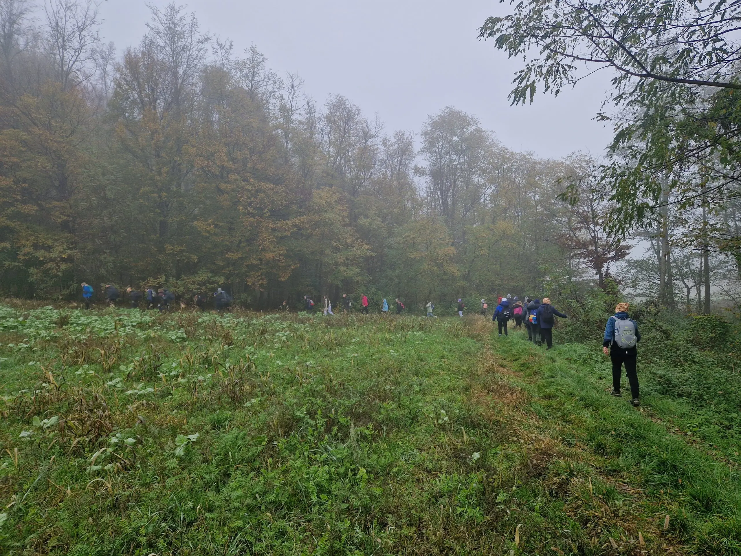 oš belica mohokos (8) oš belica mohokos (8)