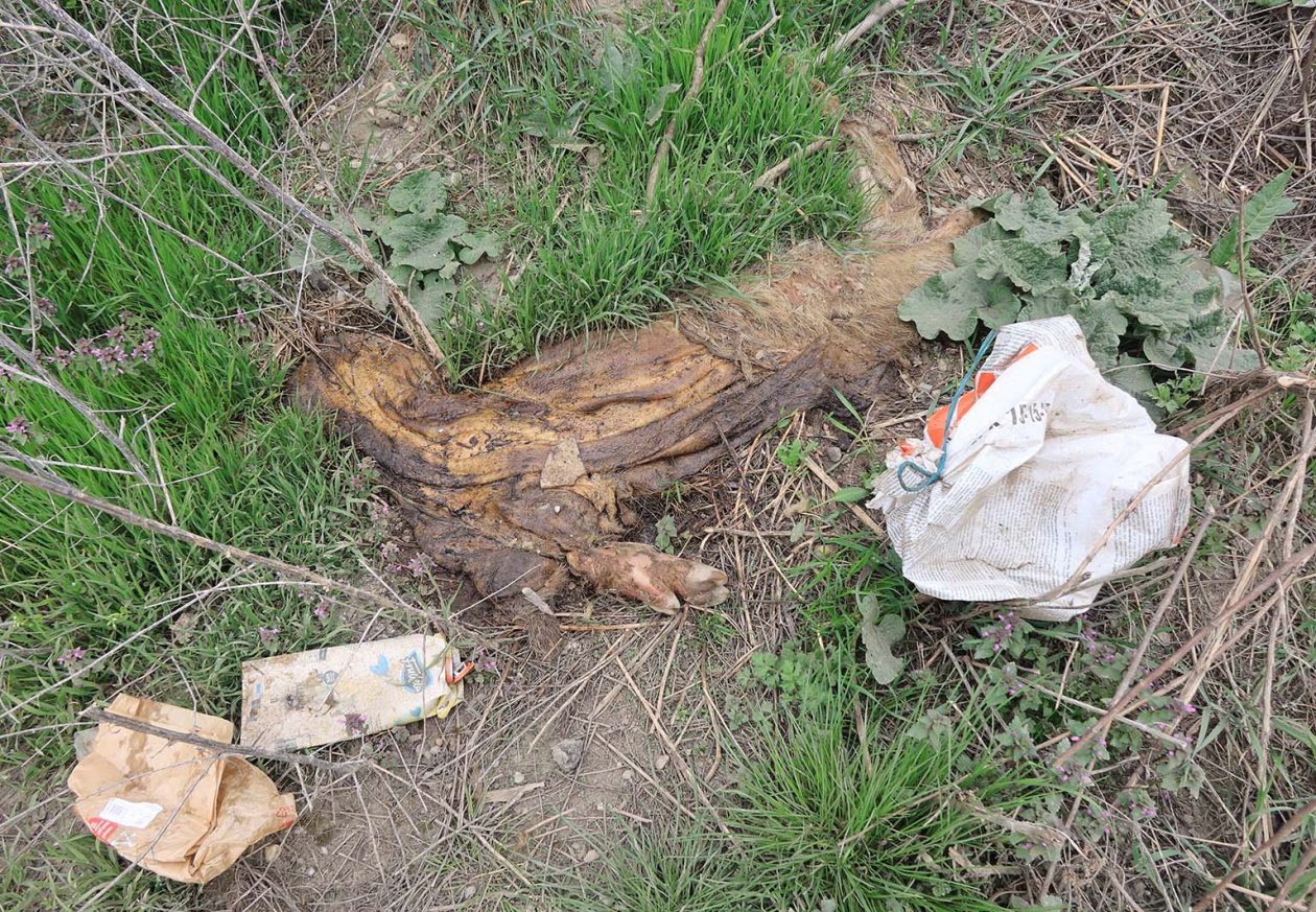 otpad nedelišće Đolte (1)