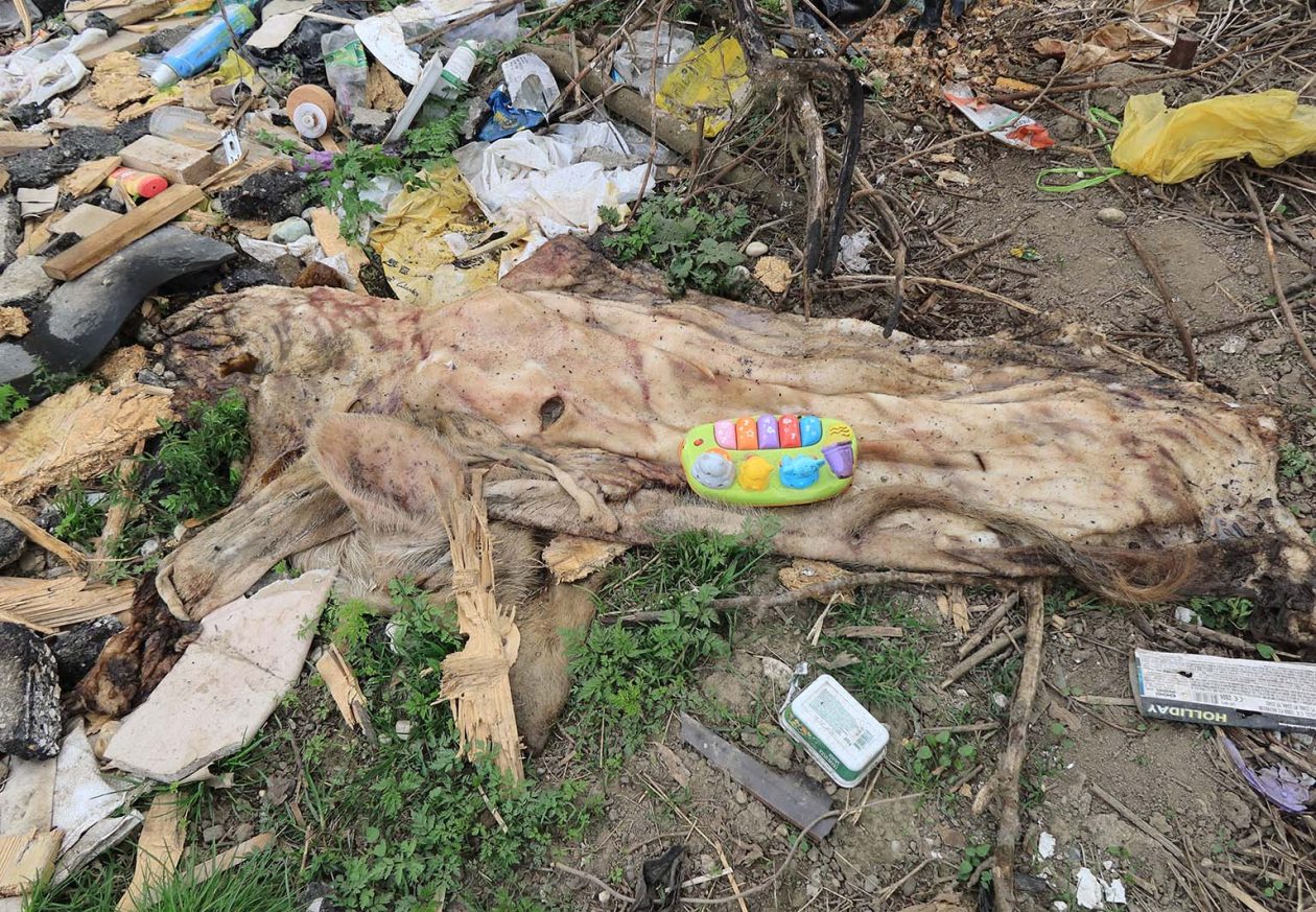 otpad nedelišće Đolte (12)