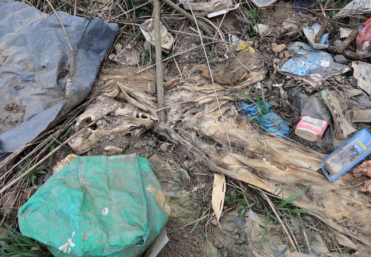 otpad nedelišće Đolte (13)