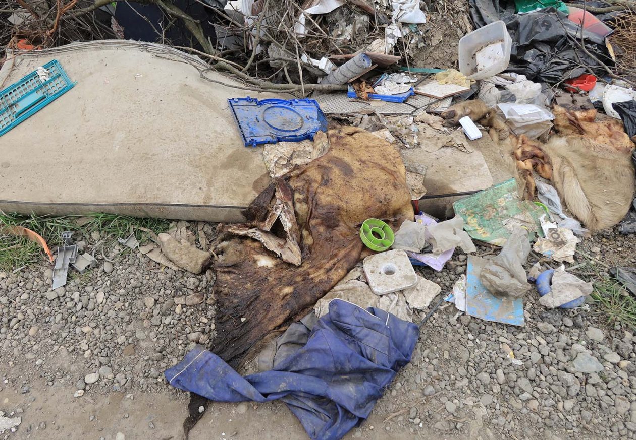 otpad nedelišće Đolte (14)