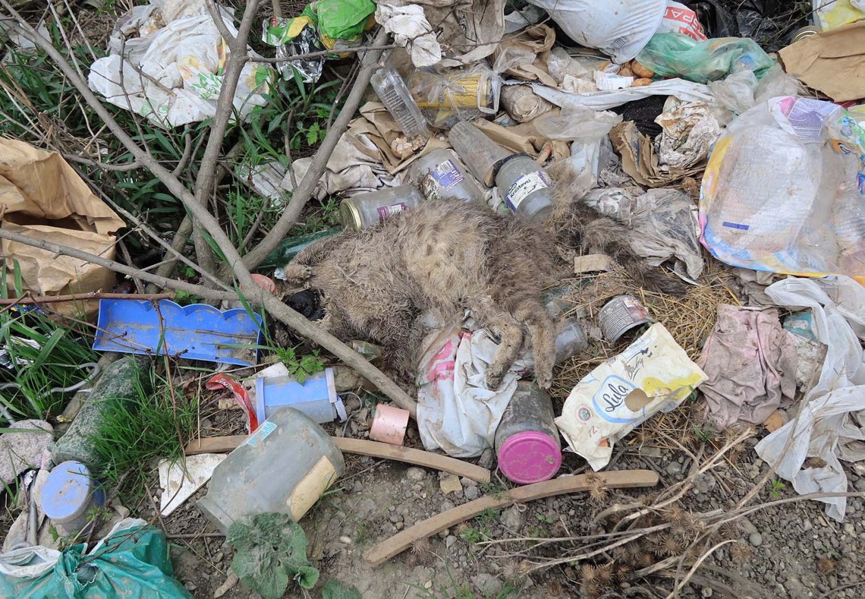 otpad nedelišće Đolte (2)