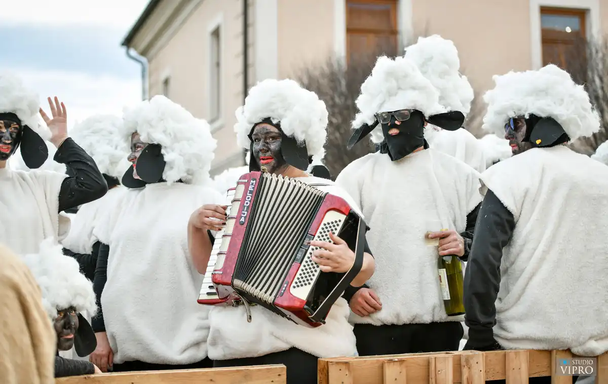 ovčice, otok (1) ovčice, otok (1)