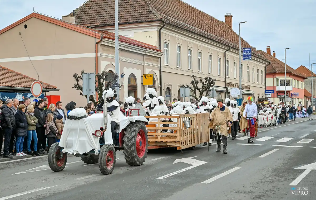 ovčice, otok (2) ovčice, otok (2)