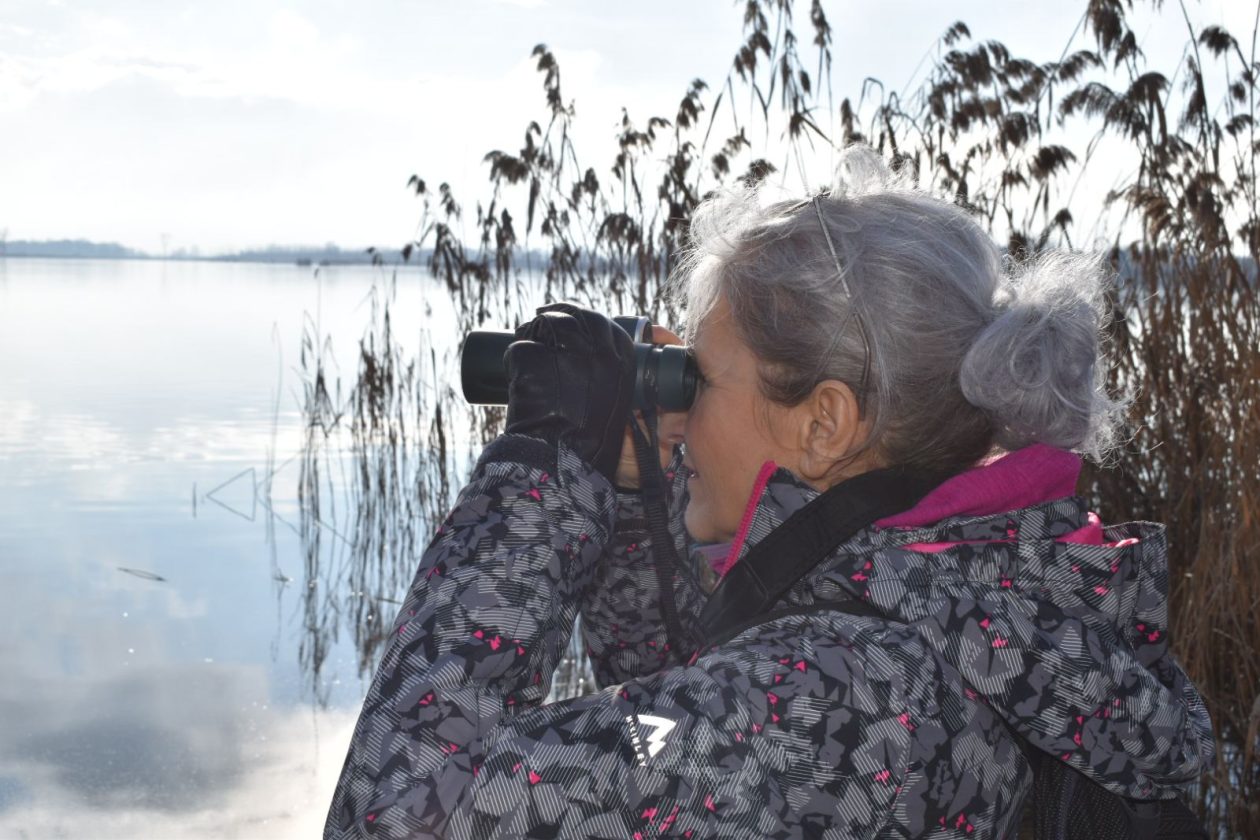 pRELOG PROMATRANJE PTICA (2)