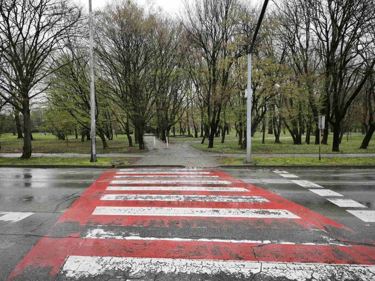 palo drvo perivoj zrinski park (8) palo drvo perivoj zrinski park (8)