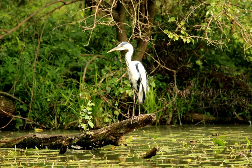 park mura drava (6) park mura drava (6)