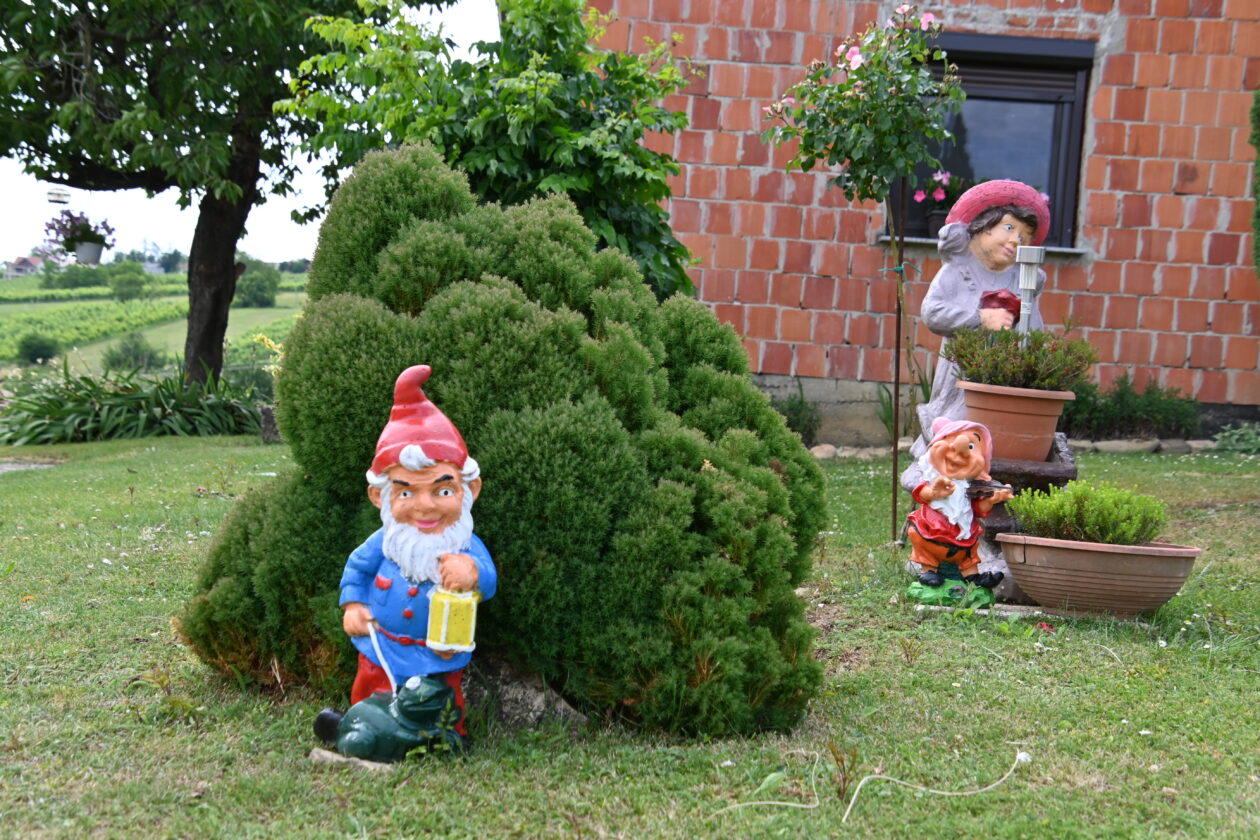 patuljci, Sveti Urban (5) patuljci, Sveti Urban (5)