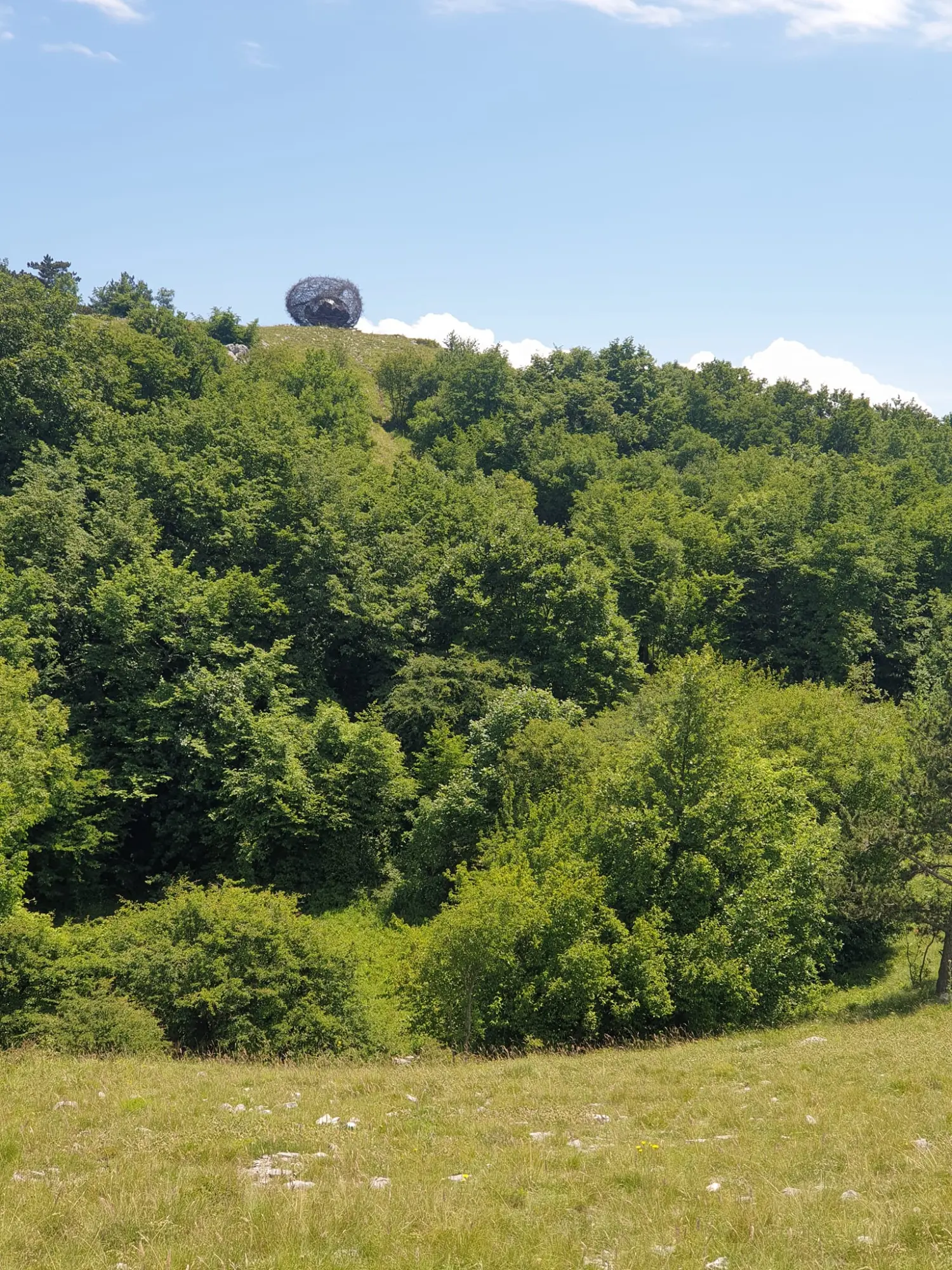 pd bundek (12) pd bundek (12)